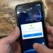 App Vietinbank ipay bị lỗi hôm nay 2026 lỗi chuyển tiền, đăng nhập bảo trì